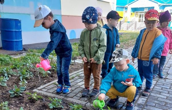 В Томской области открываются новые агроклассы в детских садах и школах